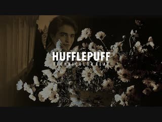 • hufflepuff house [technicolor beat]