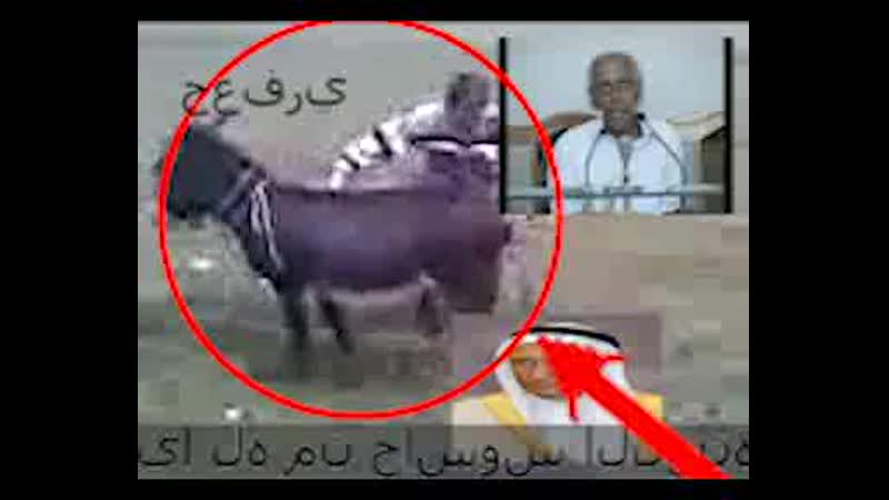 Дневной намаз арабское порно с огурцами