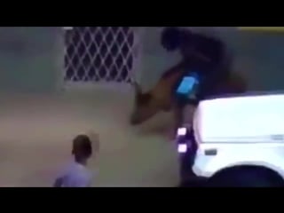 A Selection Of Jokes For Adults Hilarious Movie Gun Prank 2016 Indian Hilarious Videos Chicks Joking 2016 