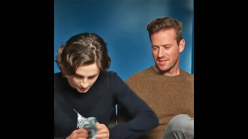 Арми хаммер и тимоти шаламэ