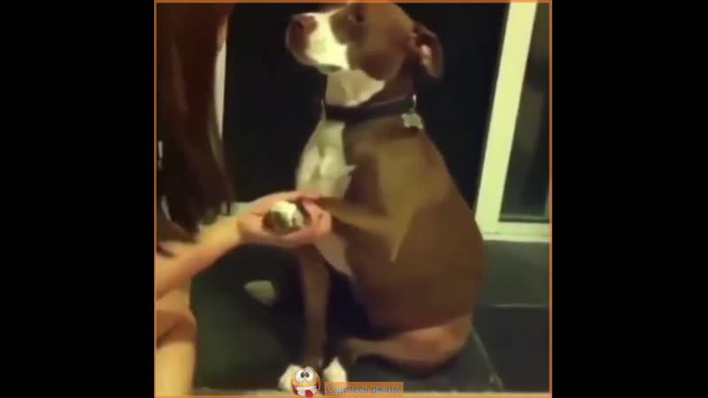 Решили подстричь ногти