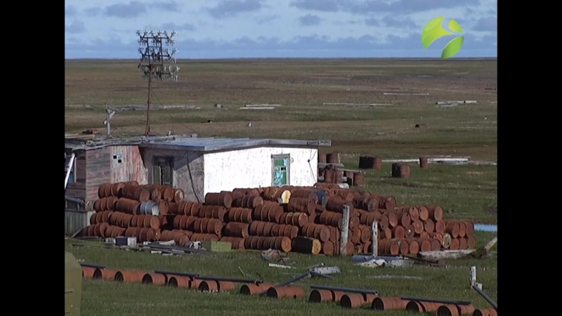 Зеленая арктика