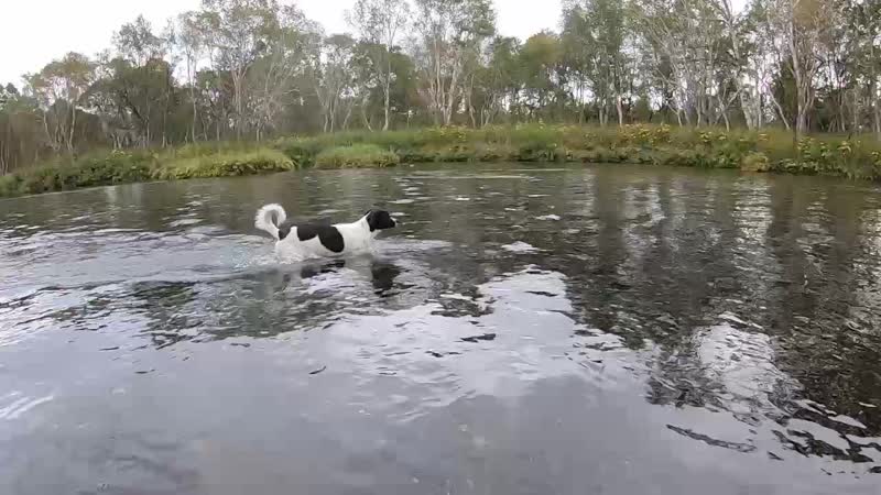 Переходим брод mp4