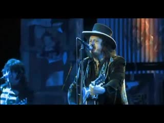 Zucchero live in italy cosi celeste