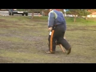 Семинар марьинский парк 6 jimmy vanhove seminar