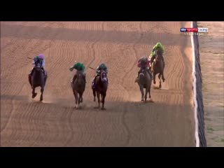 Vino rosso our right was first past the post in the jockey club gold cup, b