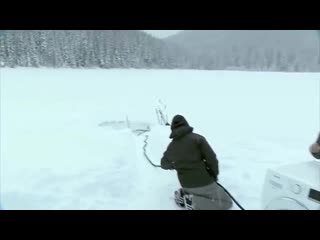 Медведь неожиданно появился на съемках (кураж бамбей)