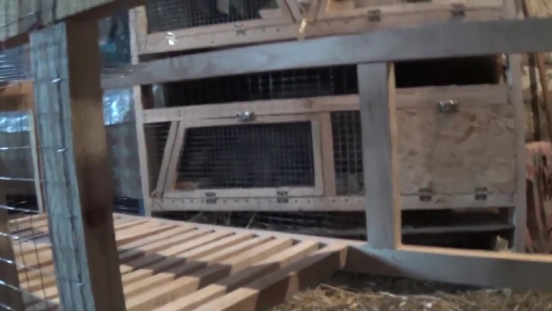 Клетка для кроликов, пошаговавая постройка (rabbit hutch)