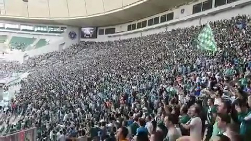Bursaspor fans 4