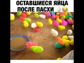 Оставшиеся яйца после пасхи😀