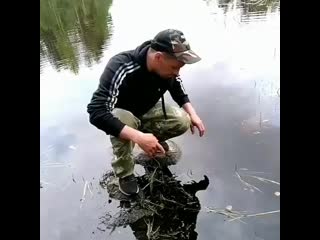 Video rybalka b3ou q dygp ~