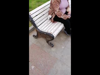 Открытая ялта® live