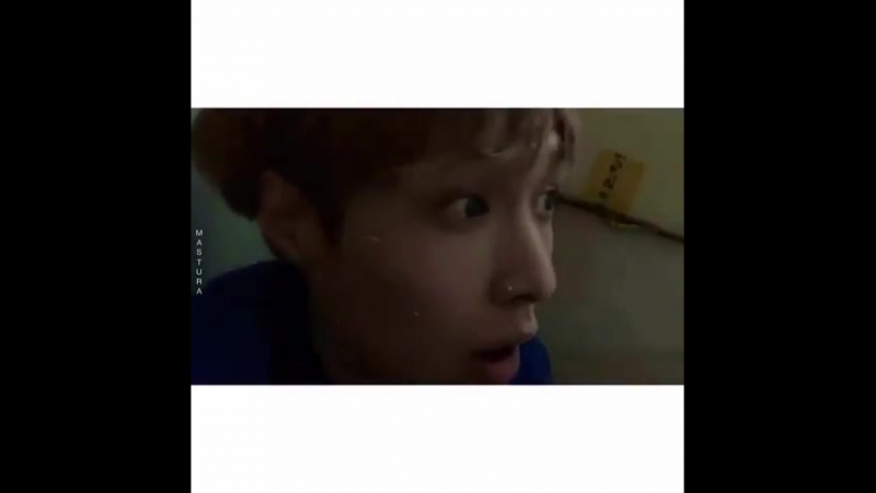 Любимые дорки