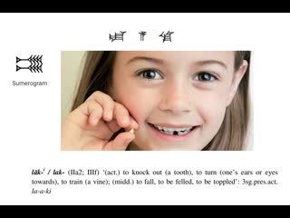 Hititçe hittite word of the day lāk i / lak (iia2; iiif) ‘(act ) to knock out (a tooth),