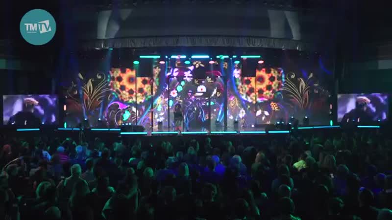 Еlvin grey и галимов мондар кайтсын