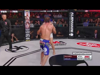 Wsof 22 rousimar palhares vs jake shields