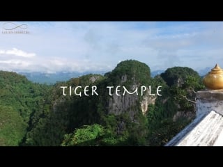 Tiger temple | thailand krabi