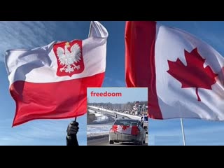 Tak wygląda radość ! konwój wolności kanada 🇵🇱 🇨🇦