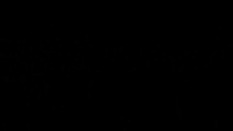 שמחת בית השואבה בלב אחד • werdyger weber kohn pumpidisa brodt belev echad