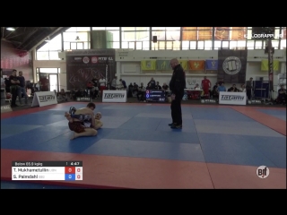 Timur mukhametullin vs sebastian palmdahl 1st adcc european trials