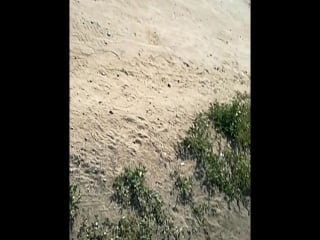 Sl mo vid 20180712 162024 mp4