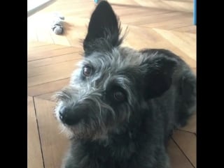 Skills mastering head tilts париж 09 08 2017