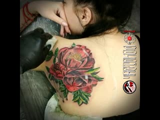 Перекрытие цветами (bronson art)