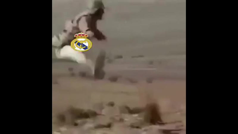 Футбол коротко о матче вольфсбург реал мадрид