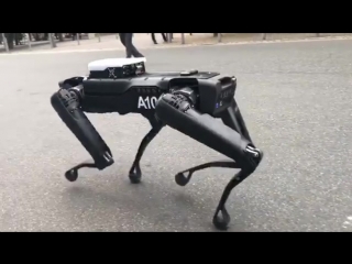 Spotmini (boston dynamics) на cebit 2018 (1)