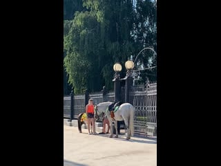 Видео от жени кравцовой