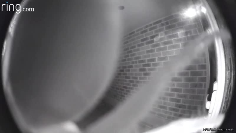 Позвонил porn video – Австралийцу позвонил в дверь неизвестное существо