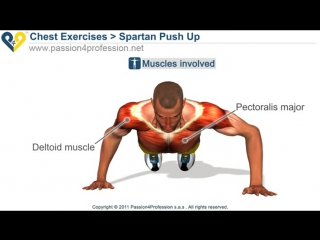 Spartan push up ( 300 workout )