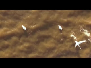 Maria majazz seashore