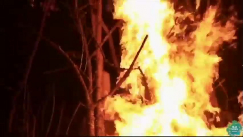 Купала костер