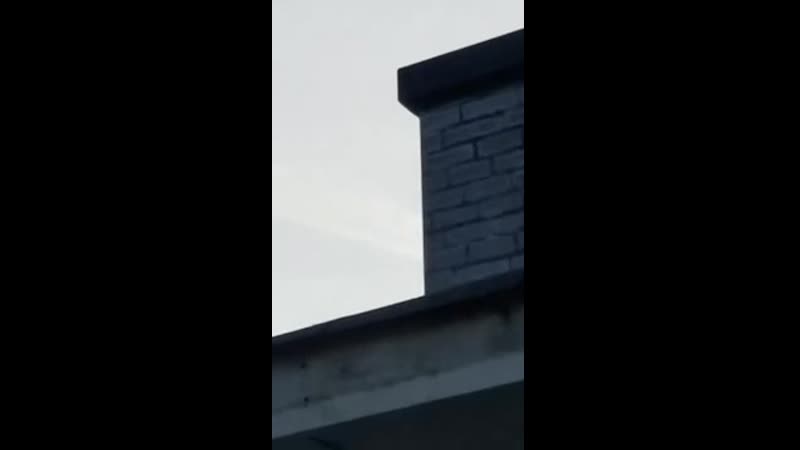 Голографическая птица исчезает, а потом появляется