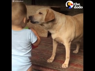 Видео от анны степановой