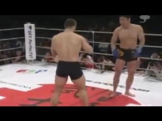 Mirko cro cop filipovic legendary highlights