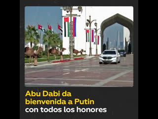 Con decenas de camellos y la bandera rusa en el cielo así reciben a putin en abu dabi