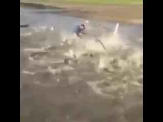 Забили мужика 🙈😃