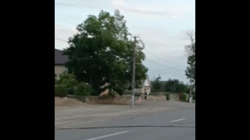 Дрова заготавливает?