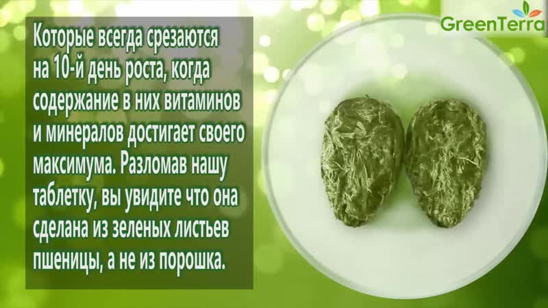 Зеленые ростки пшеницы, прессованные полезные свойства ростков пшеницы