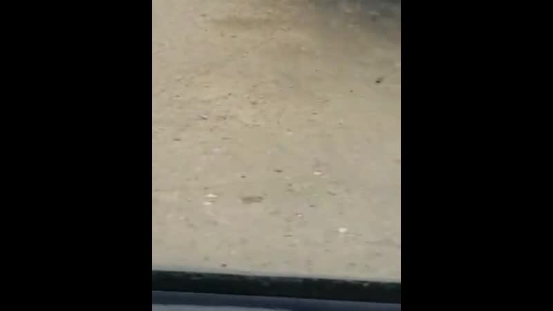 Недорогие колёсики 🛴