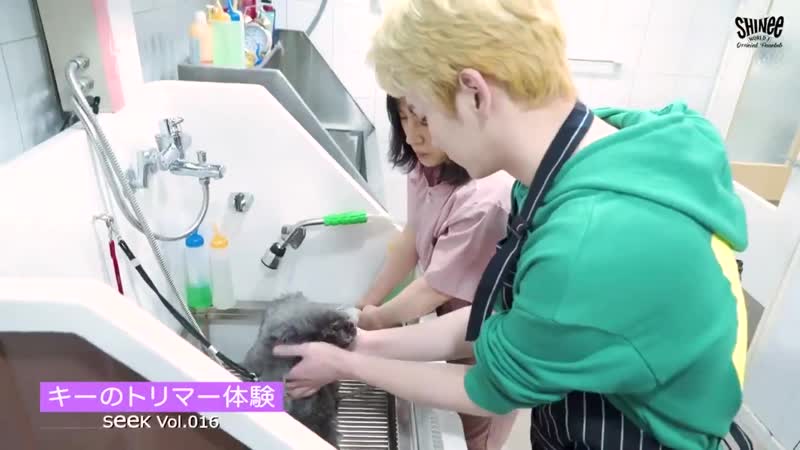 Key's offshot for seek vol 016 @ swj [1]