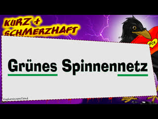 Das grüne spinnennetz