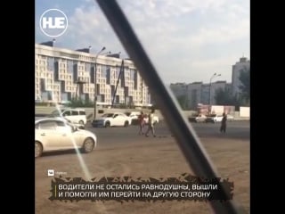 Целый выводок утят устроили в красноярске пробку на дороге