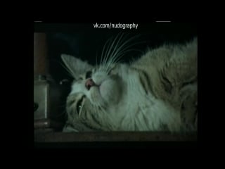 Энн захариас (ann zacharias) в фильме "неа молодая эммануэль" (néa, 1976, нелли каплан)