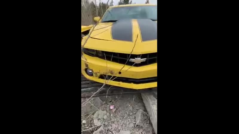 Краш тест и лишняя хромосома