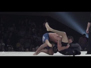 Metamoris 5 hl