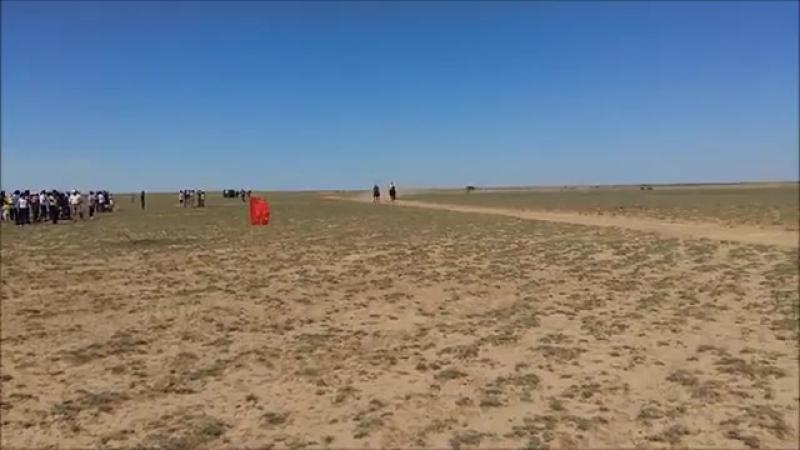 Коктогай тай жарыс