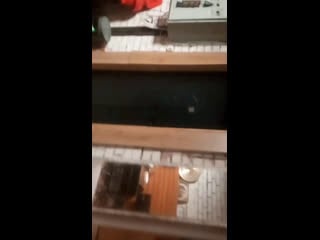 Репка втроем